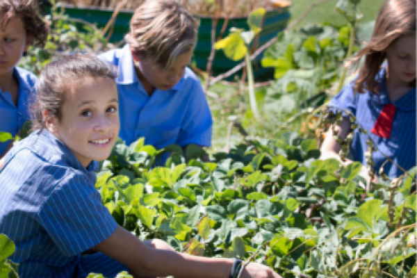 Key 'Green Dates' for Schools in 2024