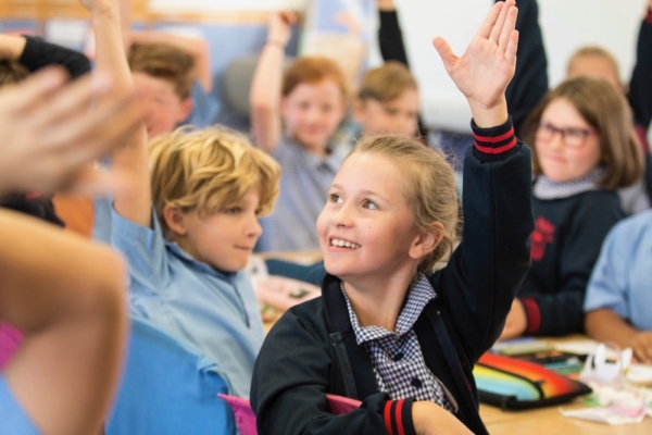 NAPLAN High Learning Gain Success for CEDoW Schools