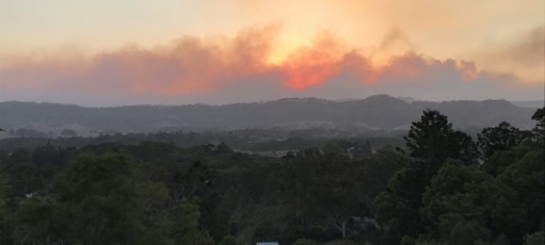 Smoke Advisory: NSW Bushfires